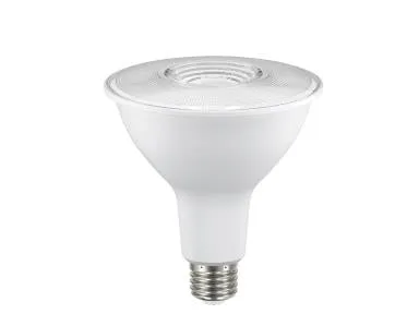 PAR38 LED 14W Watt Light Bulb 5000K, 120V — Warehouse Lighting LED Bulbs & Lamps 14.0W 5000K