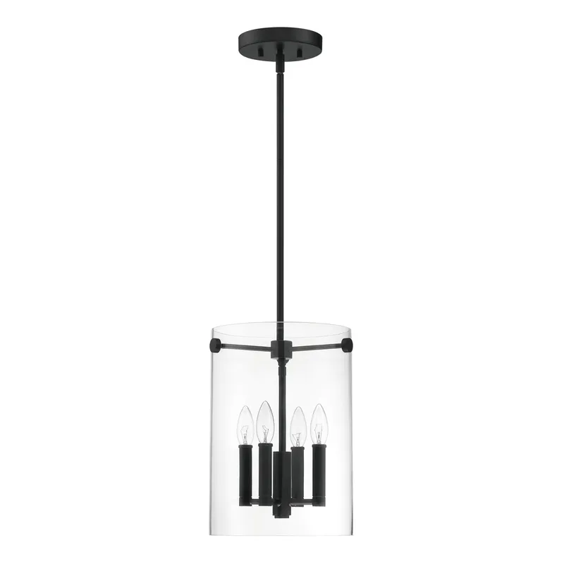 4 Light Pendant Light, Vissi Collection — Warehouse Lighting LED Landscape Lights 250.0W 