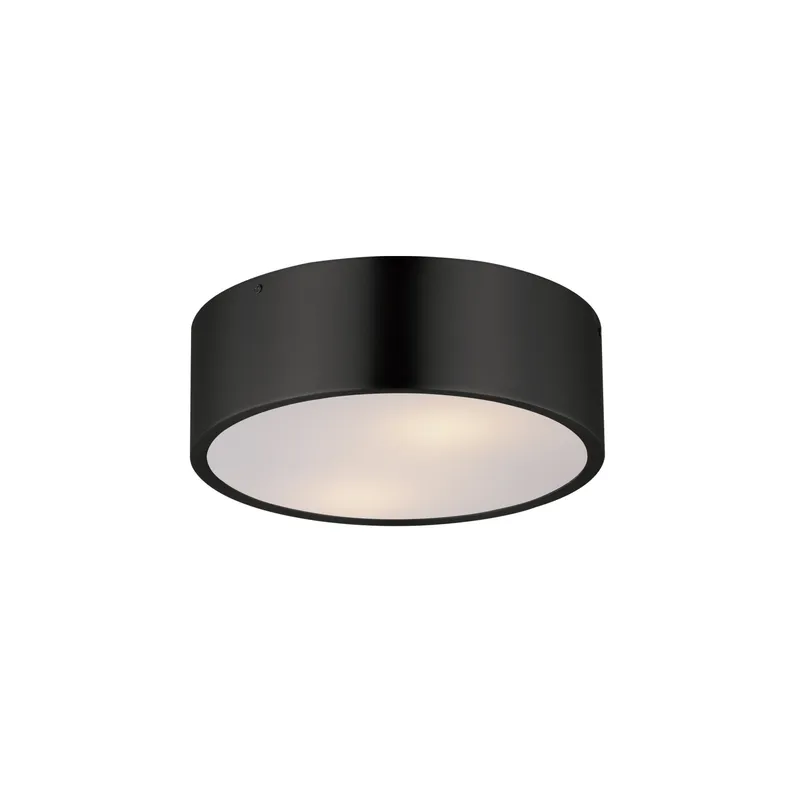 Tommy 12"  2-Light Surface Mount Ceiling Light — Warehouse Lighting LED Post Top Lights 30.0W 