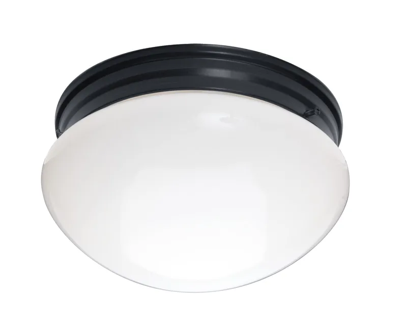 Essentials 2-Light Flush Mount Ceiling Light, Black — Warehouse Lighting LED Post Top Lights 150.0W 