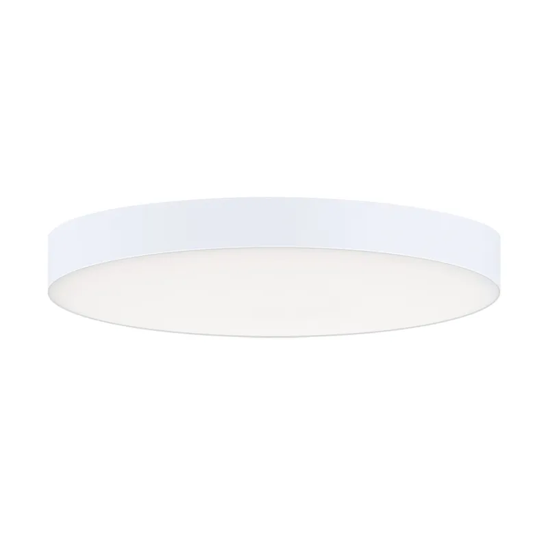 Trim 7" RD LED Surface Mount Ceiling Light 4000k EM — Warehouse Lighting LED Post Top Lights 20.0W 4000K