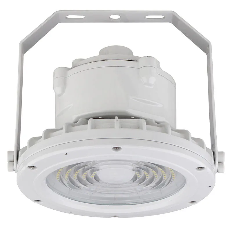 Round Hazardous Location Flood/Highbay Lights, Class 1 Division 2, 4380 Lumens, 30W, 5000K, 120-277V, White Finish — Warehouse Lighting LED Flood Lights 30.0W 5000K
