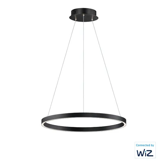 24" Hover LED Pendant, 2,000 Lumens, 27W, 120V, 2700-6000K CCT, Black or Gold Finish — Warehouse Lighting LED Landscape Lights 27.0W 3000K