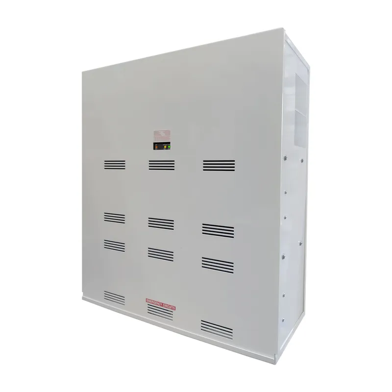 Emergency Lighting Power Inverter, High Wattage, 750 to 1150 Watt, 120/277VAC — Warehouse Lighting LED Exit & Emergency 1150.0W 