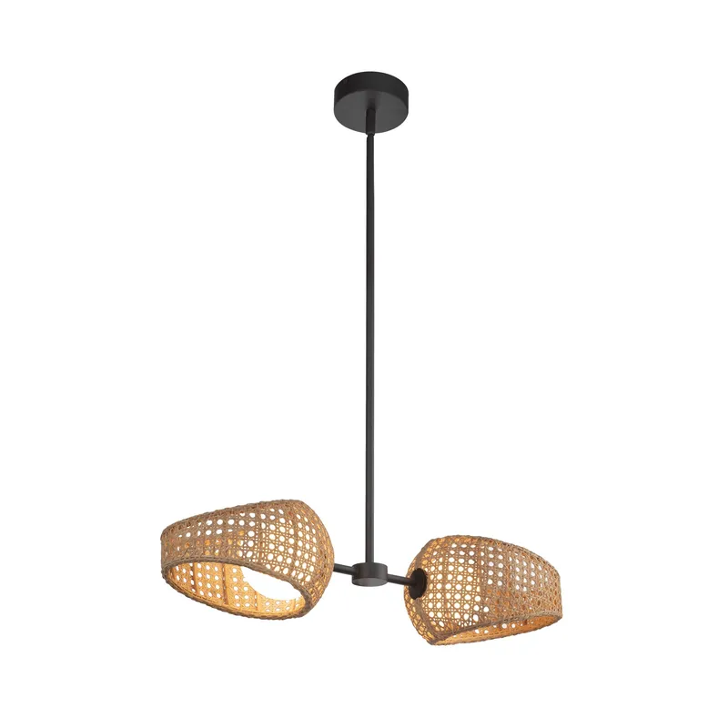 Lanai 2 Head Pendant — Kuzco Lighting LED Landscape Lights  3000K