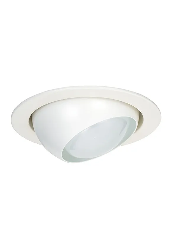 1166AT-15, 4" Eyeball Trim , Recessed Trims Collection — Warehouse Lighting LED Downlights  