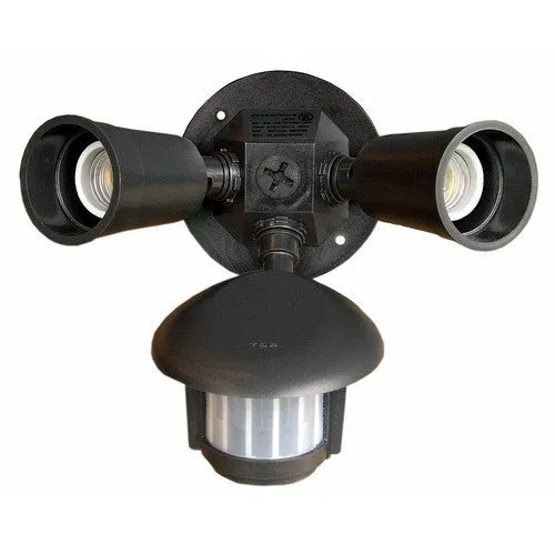 Motion Activated Twin Par Light — Warehouse Lighting LED Landscape Lights  