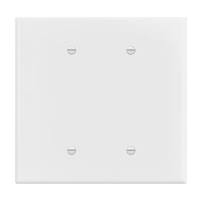 Enerlites Blank Cover Two-Gang Wall Plate, Over-Size — Sunco Lighting LED Landscape Lights  