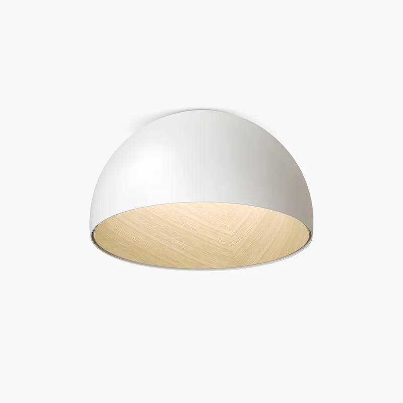 Antizer Duo Plane/Slanted Ceiling Lamp — Antizer Lighting LED Post Top Lights  