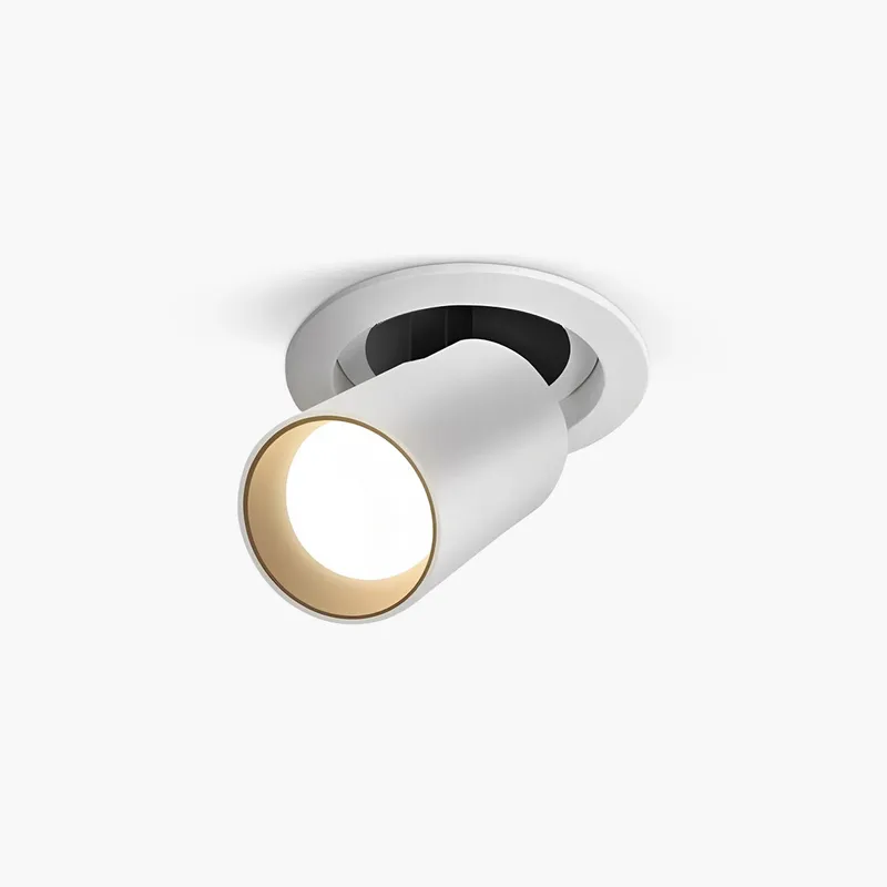 Antizer Adjustable Embedded Ceiling Spotlight — Antizer Lighting LED Post Top Lights  