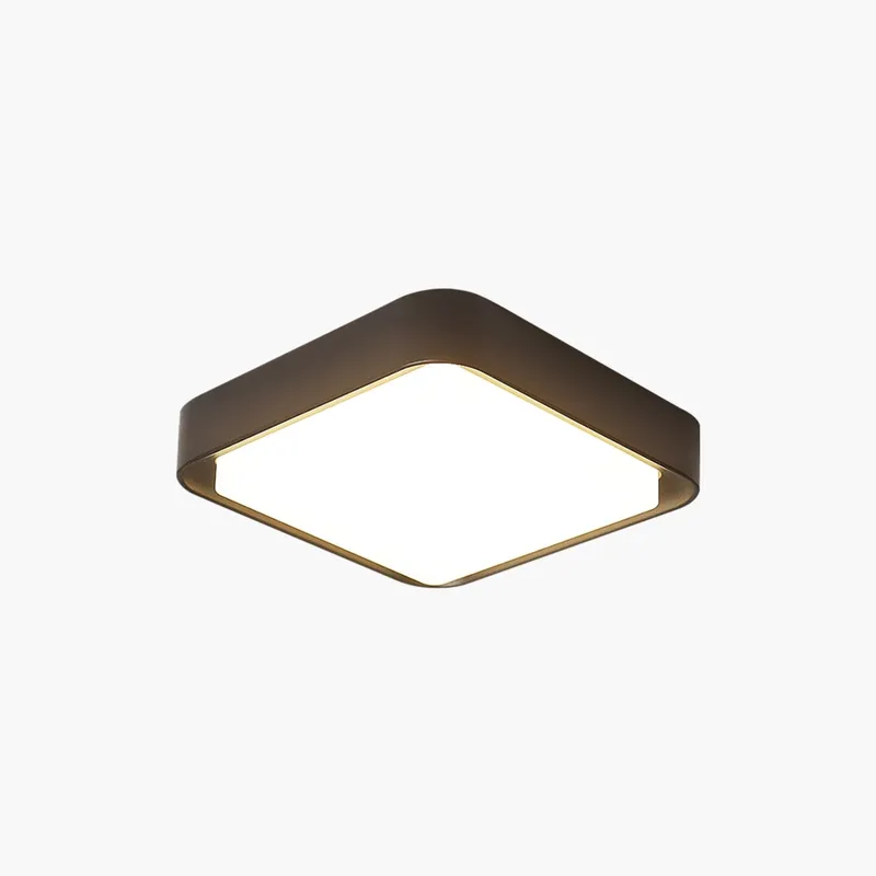 Antizer Outdoor Waterproof Corridor Balcony Ceiling Light — Antizer Lighting LED Post Top Lights  
