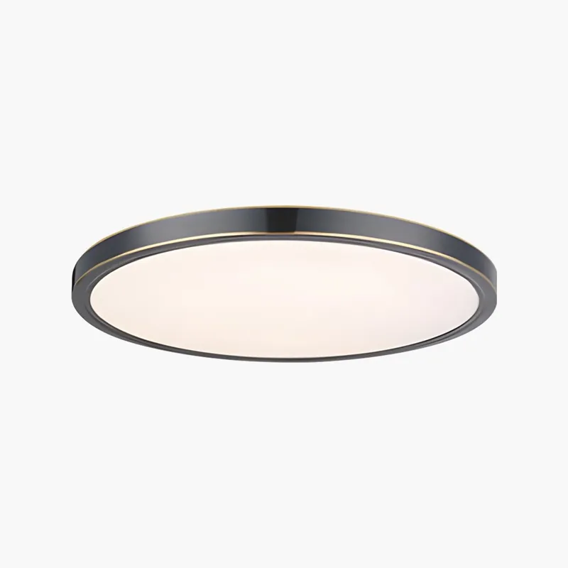 Antizer Ultra Thin Minimalist Ceiling Light for Bedroom — Antizer Lighting LED Post Top Lights  