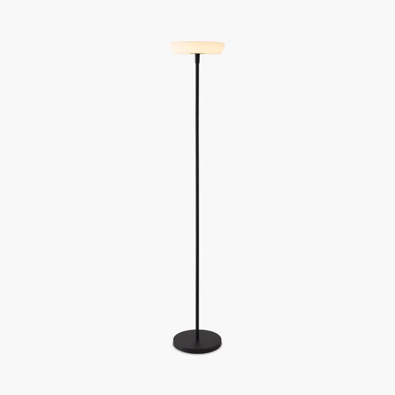 Antizer Outdoor Solar LED Floor Lamp for Garden — Antizer Lighting LED Temporary & Work Lights  