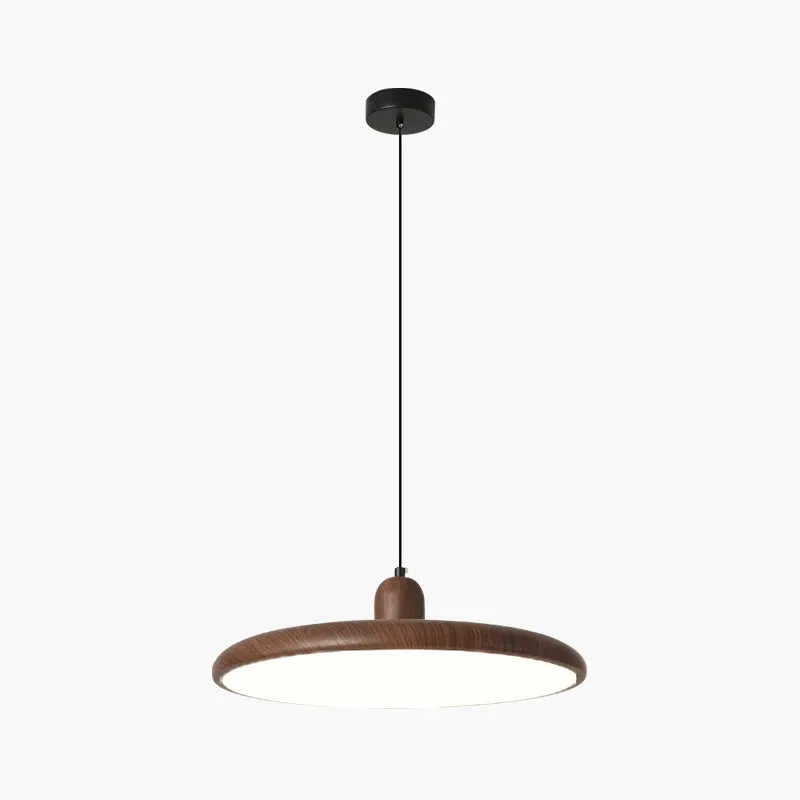 Antizer Retro Walnut Color Round UFO Pendant Light — Antizer Lighting LED Landscape Lights  