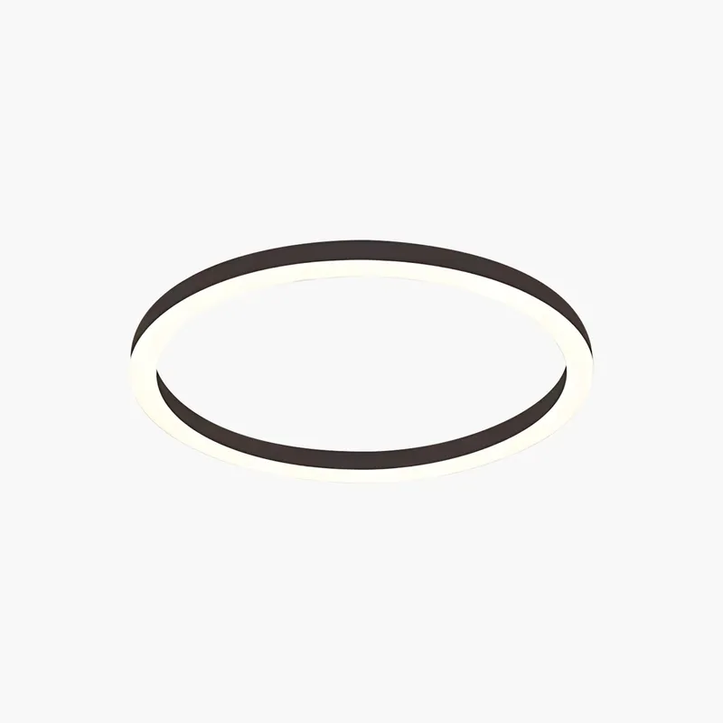 Antizer Nordic Circular LED Ceiling Lamp for Bedroom — Antizer Lighting LED Post Top Lights  