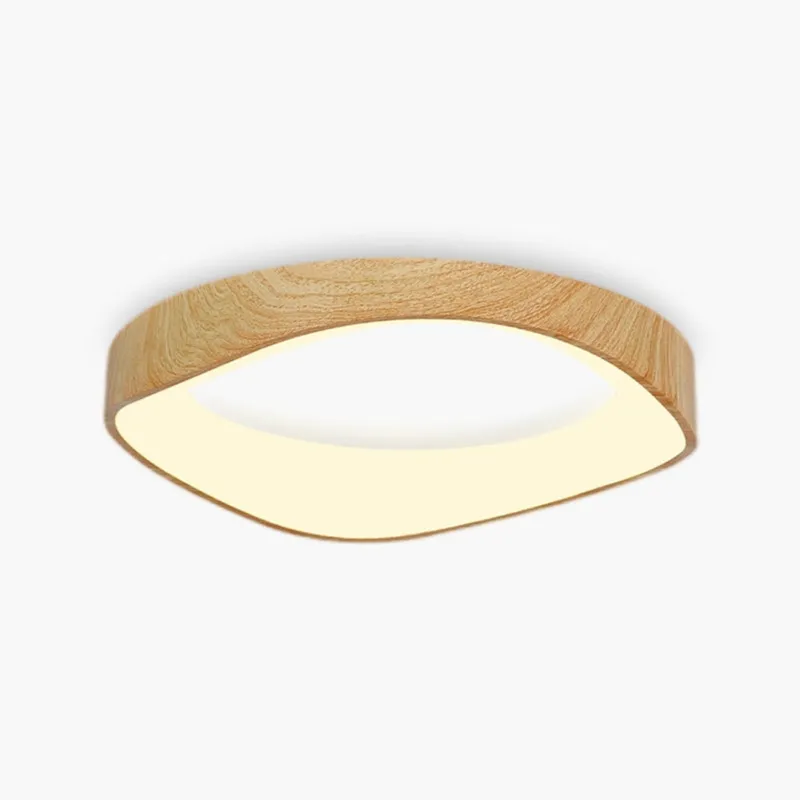 Antizer Nordic Acrylic Circle Ceiling Light for Bedroom — Antizer Lighting LED Post Top Lights  