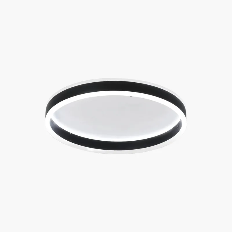 Antizer Simple Modern Round Ceiling Light — Antizer Lighting LED Post Top Lights  