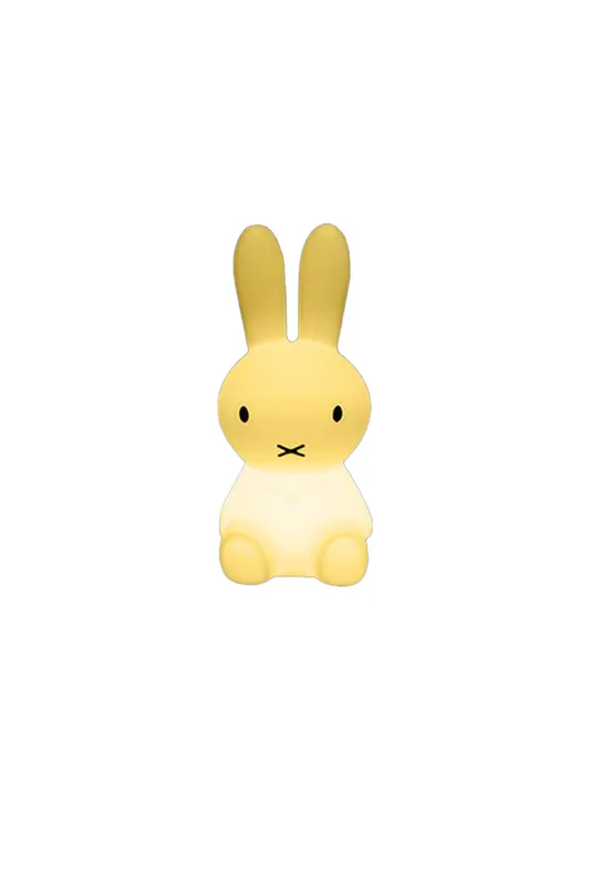 Rabbit PE Roto-molded Outdoor Floor Lamp — Samu Lighting LED Temporary & Work Lights 12.0W 3000K