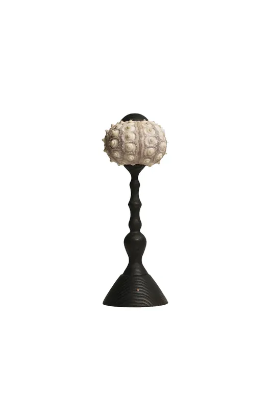 Sea Urchin Table Lamp — Samu Lighting LED Temporary & Work Lights 3.0W 3000K