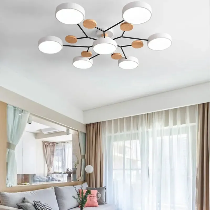 Eileen Living Room Ceiling Lights — Seus Lighting LED Ceiling Lights  