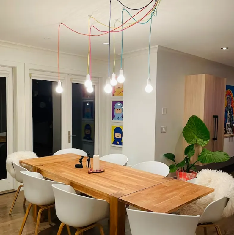 Rainbow Mixed Colors Swag Pendant Chandelier — Hangout Lighting LED Pendant Lights  