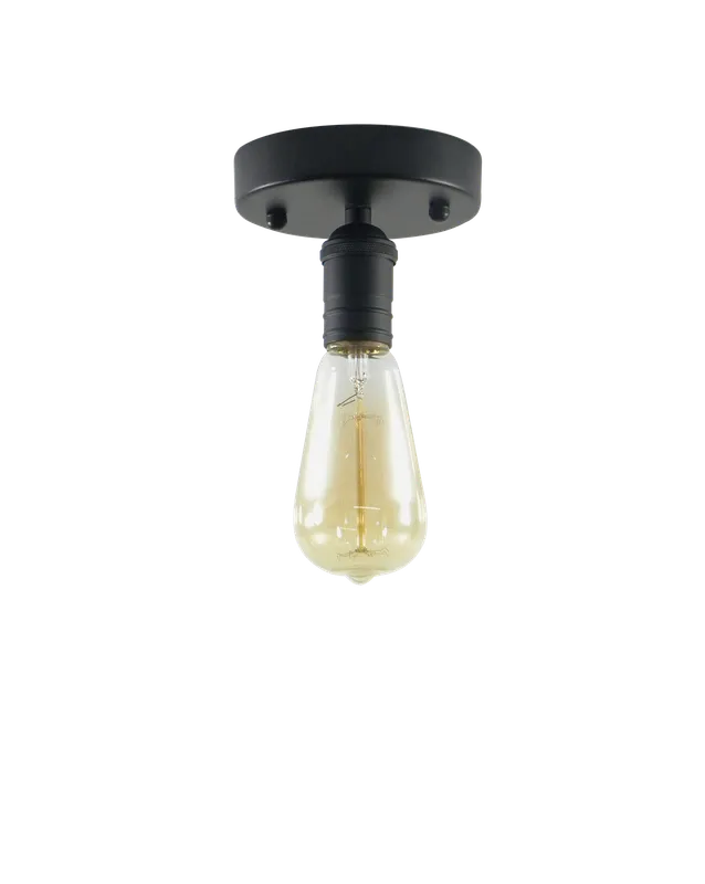 Flush Mount: Black Light — Hangout Lighting LED Ceiling Lights  
