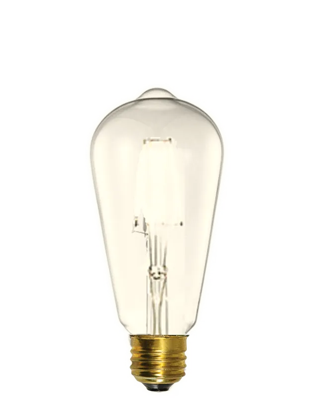 LED - Clear Edison 2700K — Hangout Lighting LED Bulbs & Lamps 4.0W 2700K