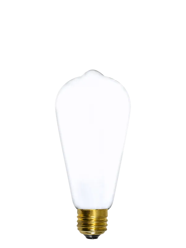 Bulb: LED - White Edison — Hangout Lighting LED Bulbs & Lamps 4.0W 3500K
