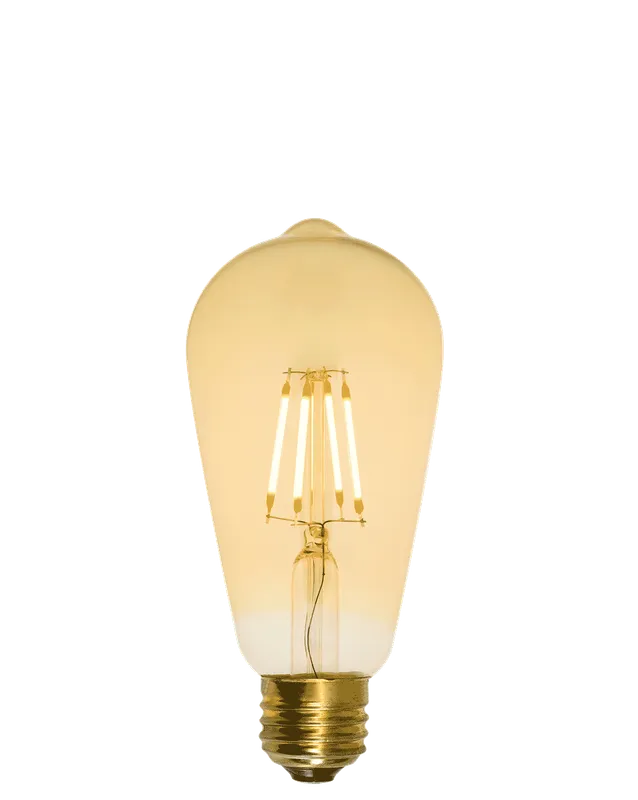 Bulb: LED Amber - Edison — Hangout Lighting LED Bulbs & Lamps 4.0W 2200K