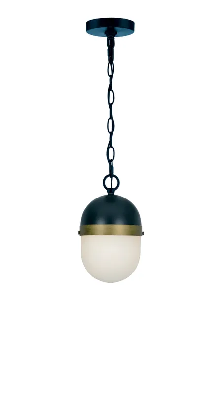Capsule 12.25'' Outdoor Pendant — Crystorama Lighting LED Pendant Lights  