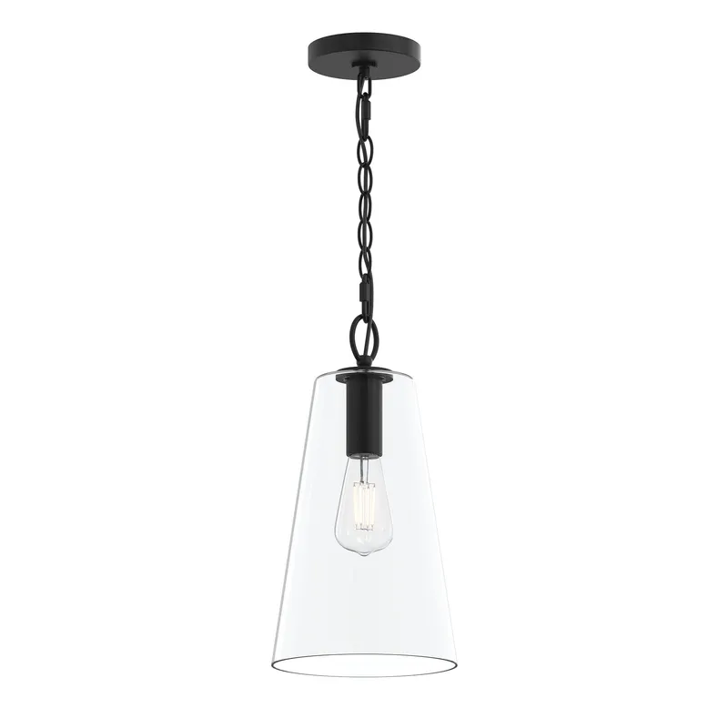 Jheni One-Light  Pendant with Clear Glass Shade — Progress Lighting LED Landscape Lights  