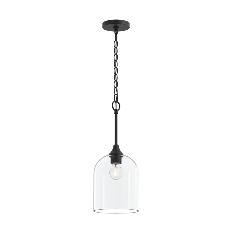 Ilia 1-Light Pendant with Clear Glass Shade — Progress Lighting LED Landscape Lights  
