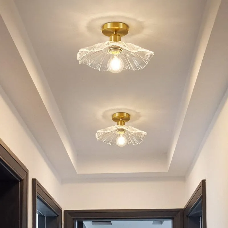 BLOS — Zenduce Lighting LED Ceiling Lights  