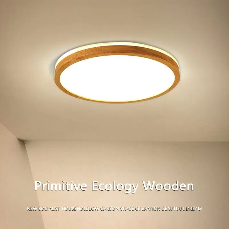 ORION — Zenduce Lighting LED Ceiling Lights 18.0W 3000K