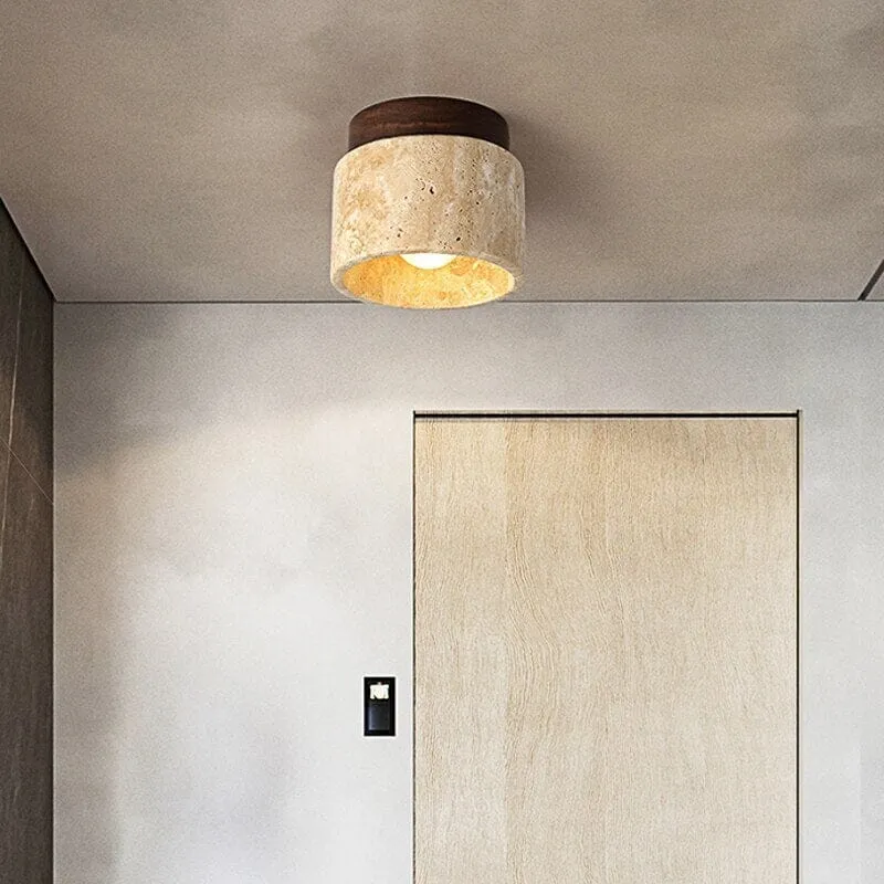 ECHO — Zenduce Lighting LED Ceiling Lights 5.0W 