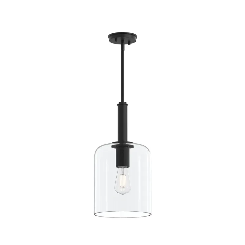 Reines One-Light Pendant with Clear Glass Shade — Progress Lighting LED Landscape Lights  