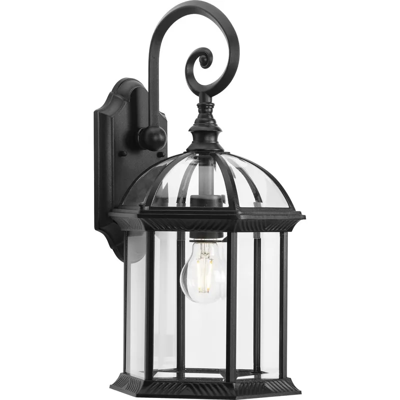 Dillard Collection One-Light Clear Glass Outdoor Wall Lantern P560323 — Progress Lighting LED Wall Lights  