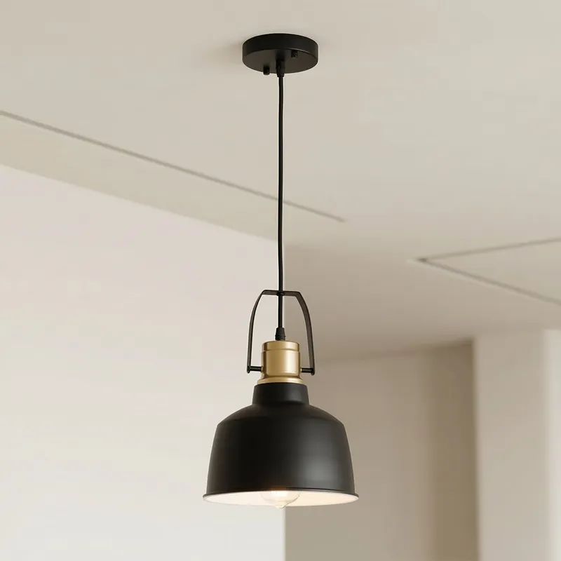 Elisa 1 Light Black Pendant Down Pendant — Modern Lights LED Pendant Lights 60.0W 