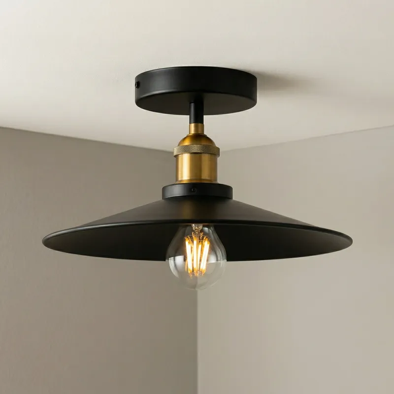Brave 1 Light Black Flush Mount — Modern Lights LED Ceiling Lights 60.0W 