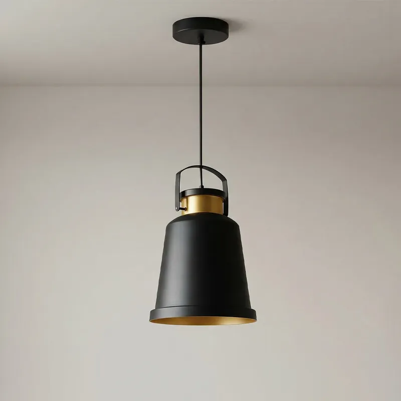 Elisa 1 Light Black Pendant — Modern Lights LED Pendant Lights 60.0W 
