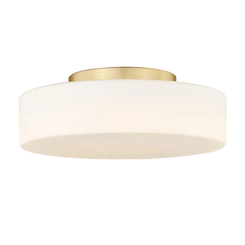Toli Integrated LED Flush Mount in Brushed Champagne Brass — Golden Lighting LED Ceiling Lights  