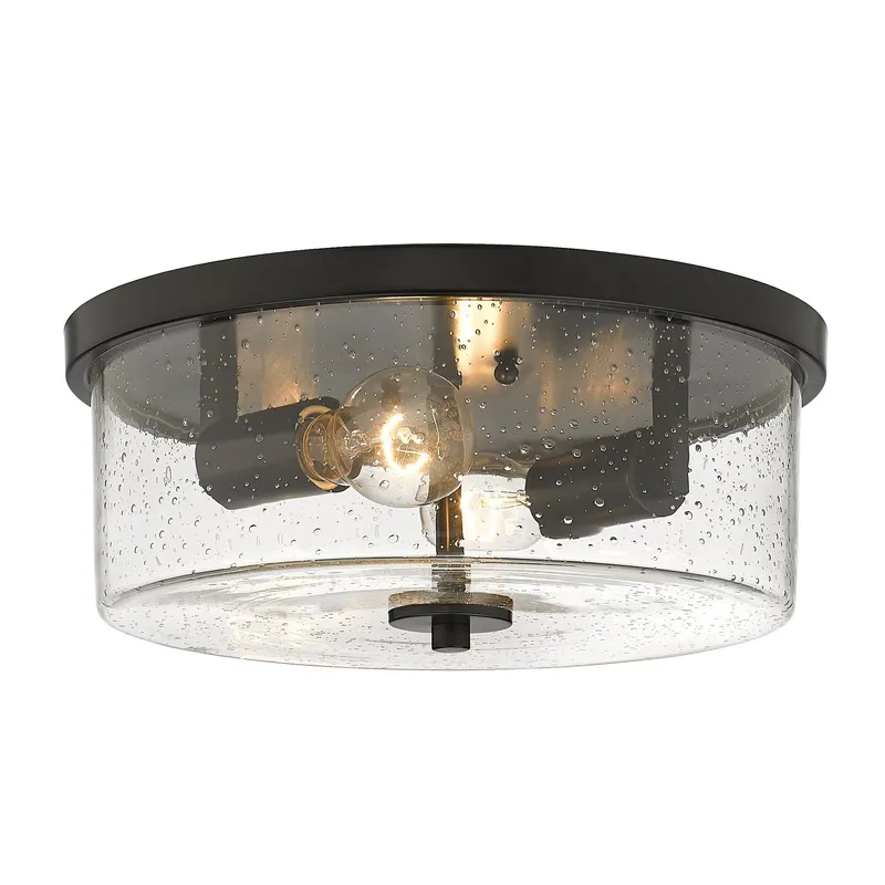 Rayne 2-light Flush Mount in Matte Black — Golden Lighting LED Ceiling Lights  