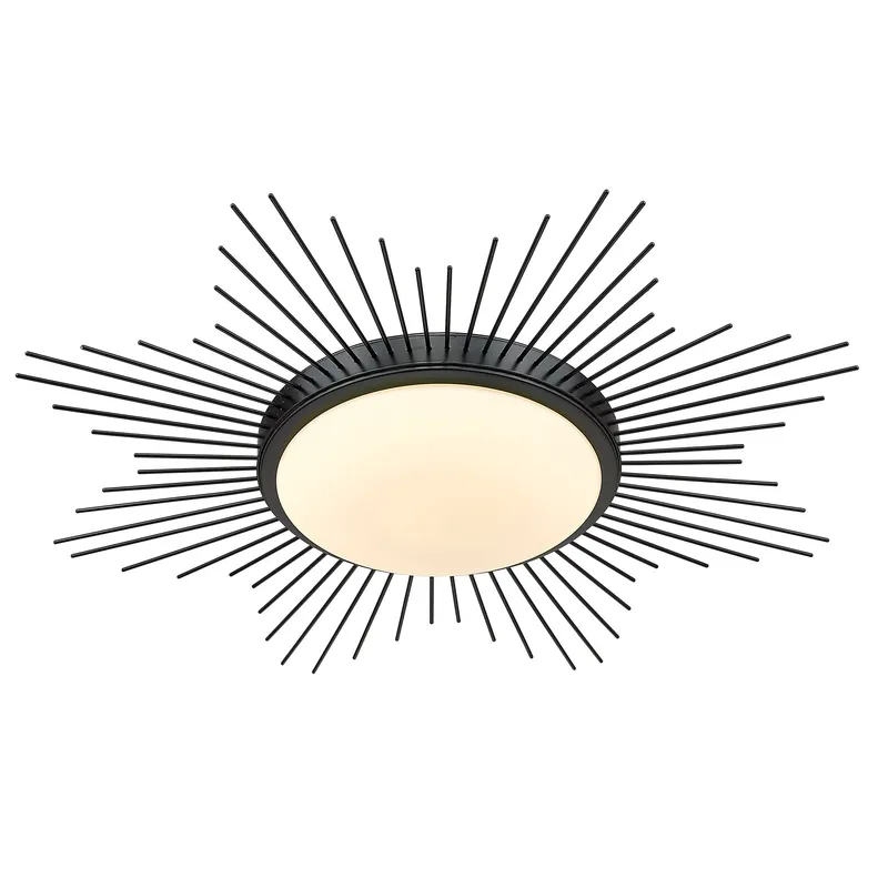 Kieran Integrated LED 24in Flush Mount in Matte Black — Golden Lighting LED Ceiling Lights  