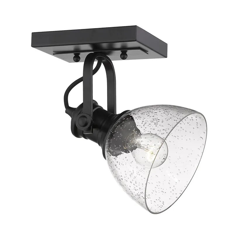 Yep by Golden Lighting Hines 1-light Adjustable Semi-Flush Mount in Matte Black and Seeded Glass — Golden Lighting LED Ceiling Lights  