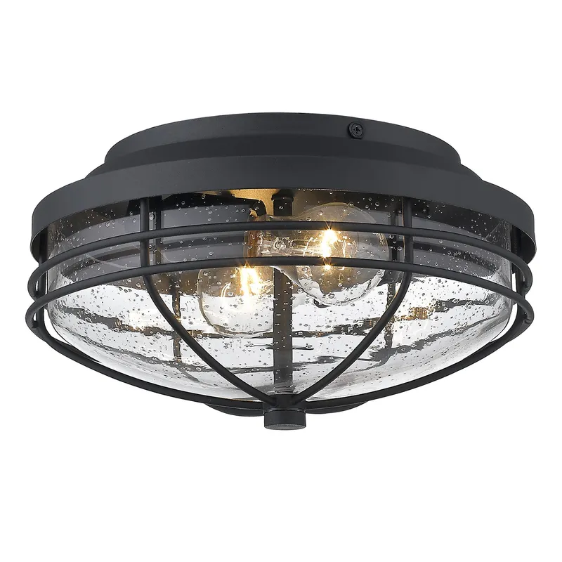 Golden Lighting Seaport 2-light Outdoor Ceiling in Natural Black — Golden Lighting LED Ceiling Lights  