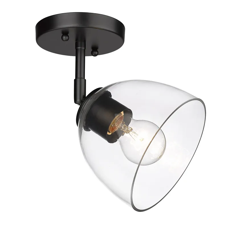 Golden Lighting Roxie 1-light Semi-Flush Mount in Matte Black — Golden Lighting LED Ceiling Lights  