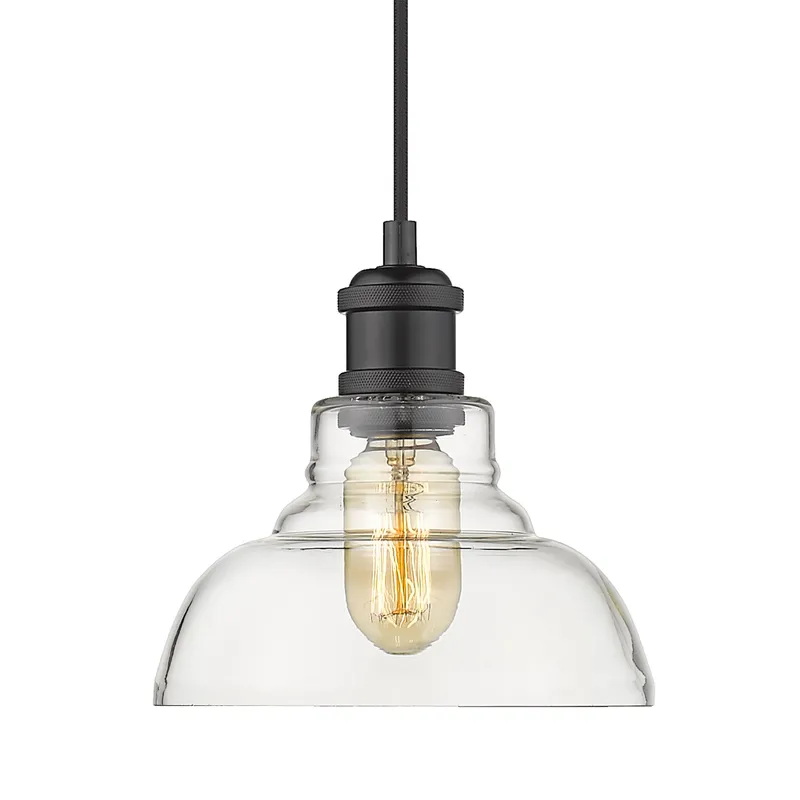 Yep by Golden Lighting Carver 1-light Pendant in Matte Black and Clear Glass — Golden Lighting LED Pendant Lights 60.0W 