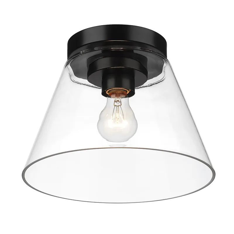 Golden Lighting Penn 1-light Flush Mount in Matte Black — Golden Lighting LED Ceiling Lights  