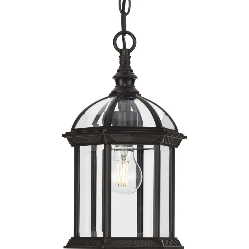 Dillard Collection One-Light Clear Glass Outdoor Hanging Light — Progress Lighting LED Landscape Lights  