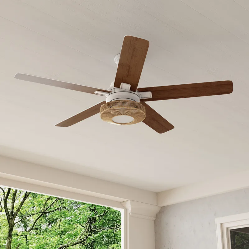 Schaal Collection 52 in. Five-Blade Ceiling Fan with Integrated LED Light — Progress Lighting LED Post Top Lights  